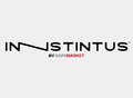 Innstintus