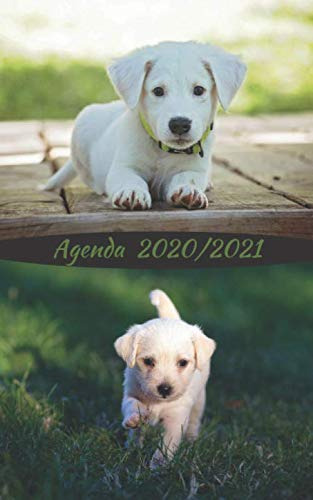 Agenda Perro - Dog - Chien Curso Lectivo 2020-2021 Español