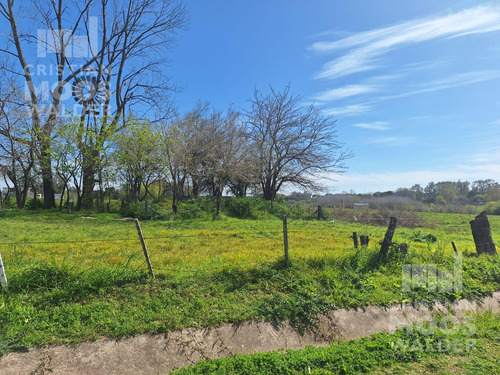 Terreno En Venta - Loma Verde