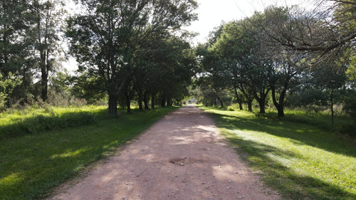 Chacra En Santa Ana. Colonia