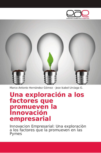 Libro: Una Exploración A Los Factores Que Promueven La Innov