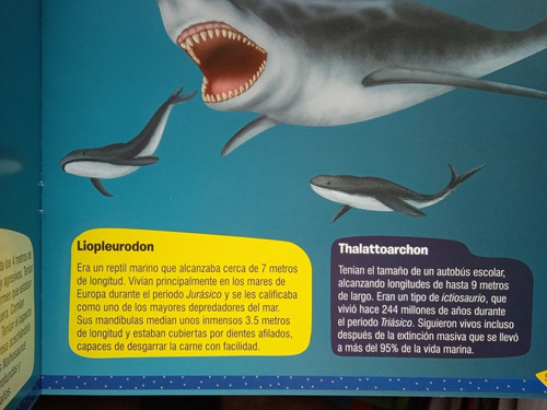 Dinosaurios Marinos - Super Ilustrado Letra Y Formato Grande | MercadoLibre Dinosaurios Marinos - Super Ilustrado Letra Y Formato Grande | MercadoLibre
