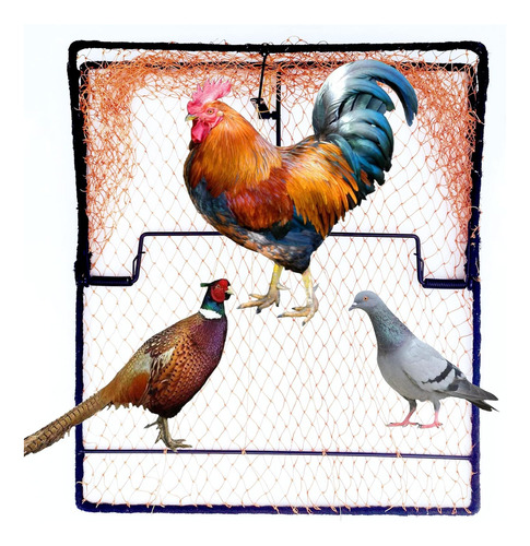 Trampa Para Pájaros, Paloma, Gorrión, Codorniz, Pollo, Contr