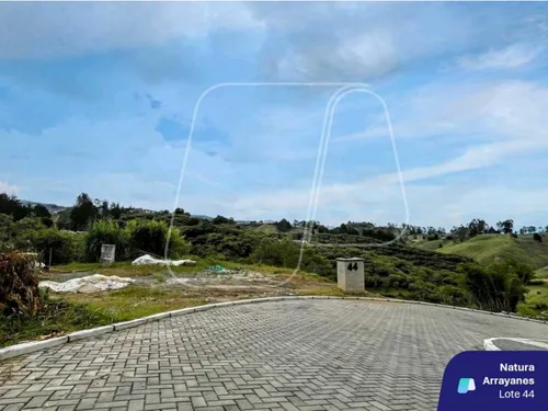 Lote Natura Arrayanes Guarne A 5 Min Del Aeropuerto