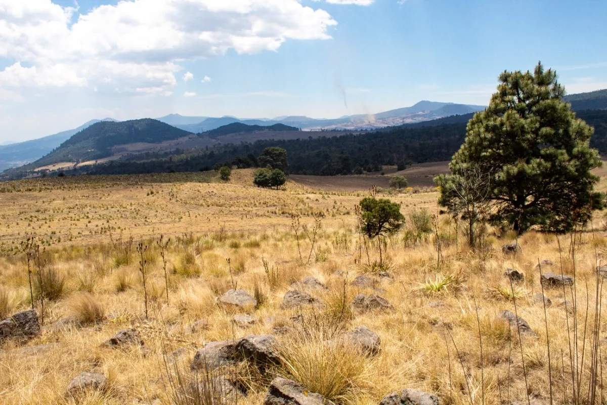 Los Gavilanes Terreno En Paraje Hueyametla, Santo Tomas Ajusco, Alcaldia Tlalpan, Cdmx.