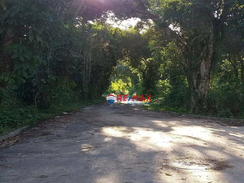 Imagem 2 de 9 de Terreno Multifamiliar Frente A Lagoa - Te0014