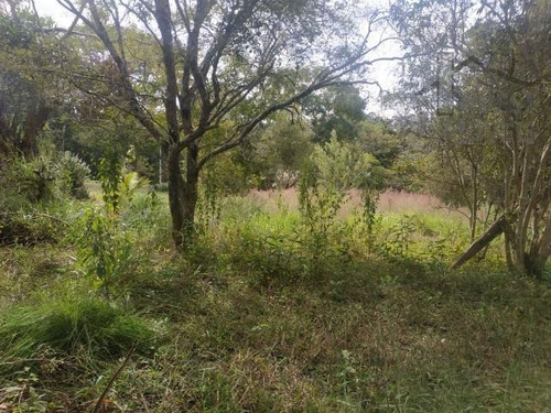 Imagem 6 de 10 de Cód 5735 - 1.374 M² De Frente Para O Asfalto Com Água Da Sab - 5735