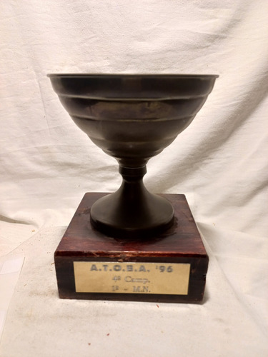 Trofeo Copa, Altura 18 Cm, Base De Madera.