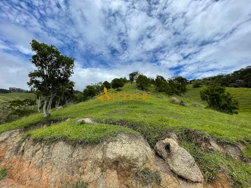 Imagem 11 de 16 de Rural Comercial - 366000-v
