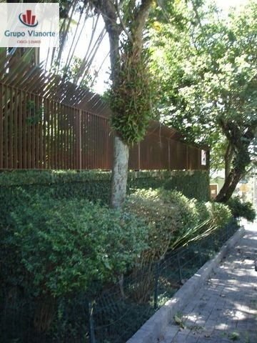 Imagem 2 de 18 de Casa A Venda No Bairro Vila Albertina Em São Paulo - Sp. - P0075-1