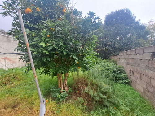 La Teja .....jardin, Casa Reciclada, Estufa , Patio , Lateral Gran Fondo Arbolado