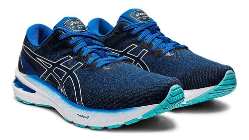 Championes Running Asics Gt-2000 10 ( Caballero )