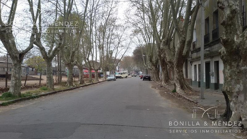 Local - Colón