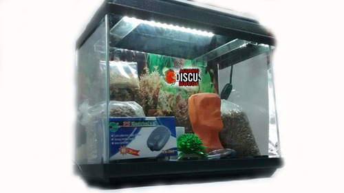 Kit 60x35x20 Premium Full ! Base Y Tapa Con Led Tropical