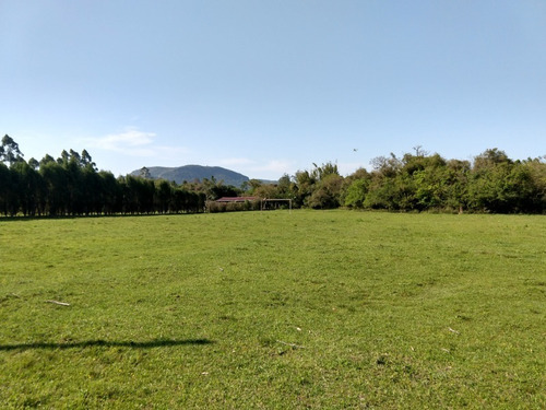 Chácara 10.000 M² - Estância Antiga - Gravataí - Rs - 2242 - 34462324