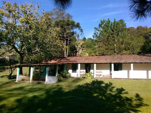 Imagem 1 de 30 de Sítio, Pra Quem Gosta Só Curtir, Pasto, Nascente, Lago, Córrego - V27