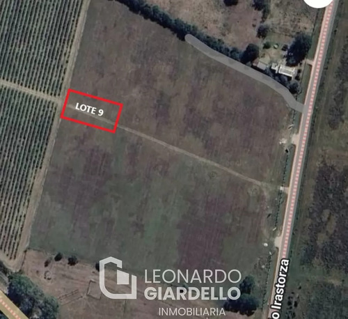 Lote 9 Viñas De Carmelo