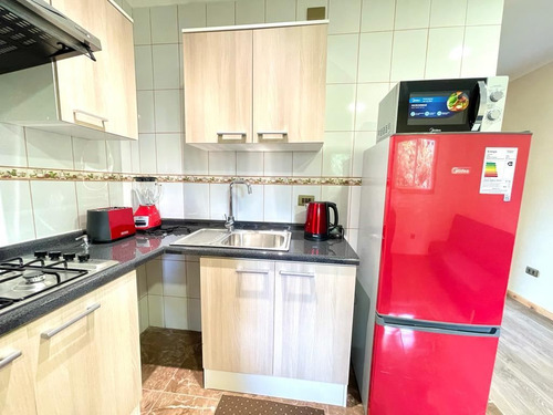Depto 34m2 Nuevos Equipados En Gran Terreno, Frutillar Bajo
