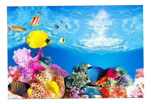 Fondo De Acuario Subacuático 60x102cm Tipo A - 60x102cm