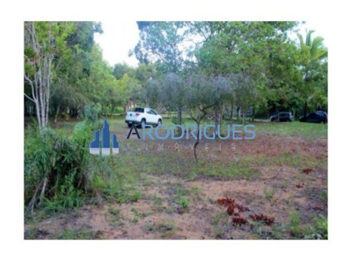 Imagem 7 de 20 de Ótimo Terreno À Venda Localizado Em Trancoso Todo Documentado E Levantamento Topográfico! - Te00126