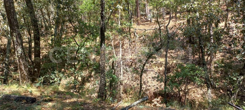 Vendo Terreno De 6,634 Metros En Fracc. Bosque Real, Huasca De Ocampo Hidalgo.