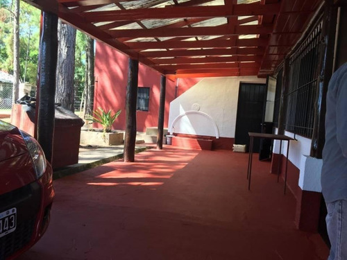 Imagen 12 de 17 de Hermosa Quinta Antigua En Amplio Terreno Arbolado - Arroyo Leyes, Santa Fe