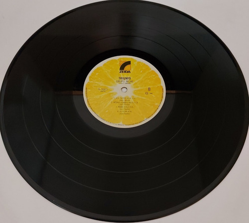 Grupo Niche - Triunfo Lp (Usado)