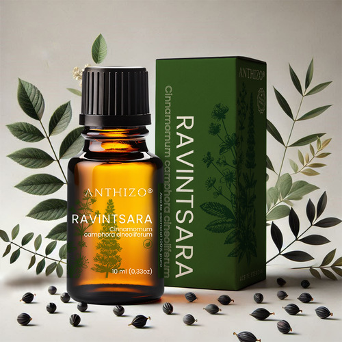 Aceite Esencial De Ravintsara Orgánico, 100% Puro, Anthizo