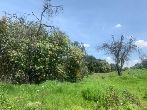 Terreno En Av.desierto De Los Leones