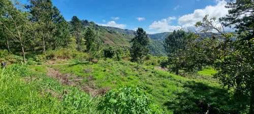 Gran Lote De Terreno En Urbanización Cerrada