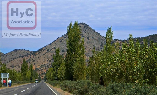 Imagen 19 de 21 de Venta Terreno 7500 M2 Con Bosque, En Idahue ¡mejor Precio!