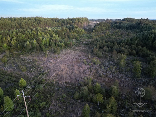 Venta Parcela 1 Hectárea En Ancud, Chiloé