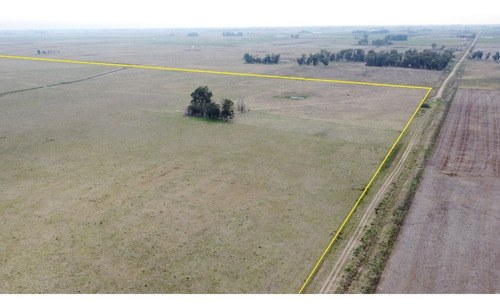 Imagen 21 de 21 de Campo Ganadero En Roque Perez Muy Bien Ubicado A 15 Km Del Asfalto
