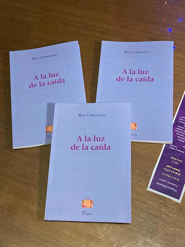 Imagen 1 de 3 de Libro A La Luz De La Caída Rita Corigliano Poesía Viajera Ed