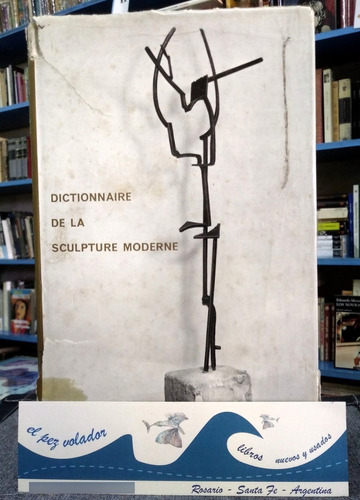 Dictionnaire De La Sculpture Moderne - Fernand Hazan