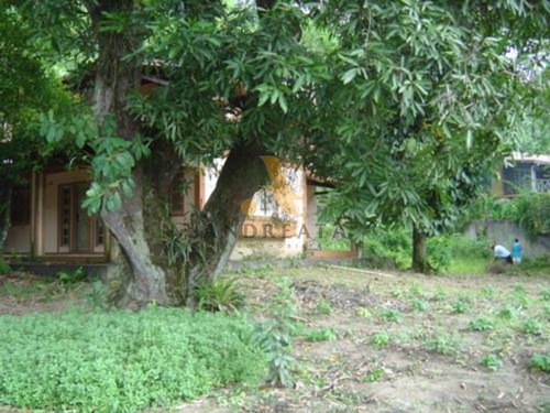 Imagem 3 de 10 de Sítio À Venda Na Estrada Do Pontal - Recreio Dos Bandeirantes - Sqa0073l - 31971642