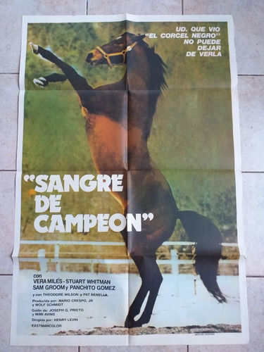 Antiguo Afiche Cine - Sangre De Campeón *