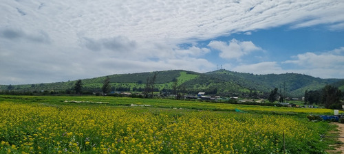 Hermosa Y Bien Ubicada Parcela En Los Laureles Limache