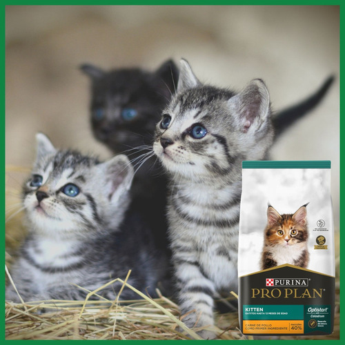 Alimento Pro Plan OptiStart Kitten para gato de temprana edad sabor pollo y arroz en bolsa de 7.5 kg