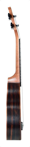 Ukulele Acústico Seizi Bora-bora Crush Soprano Ebony Com Bag