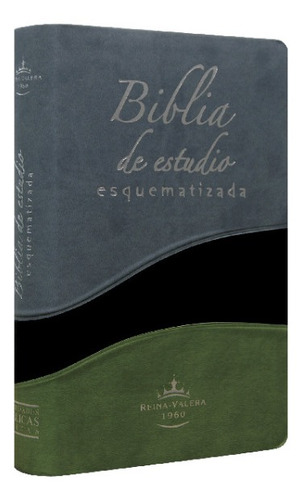 Biblia De Estudio Esquematizada