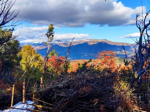Imagen 10 de 15 de Venta - Lotes - Terreno - Altos De Caleuche, San Martín De Los Andes, Neuquén