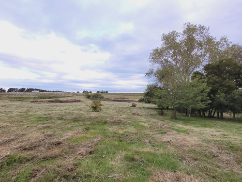 Imagen 2 de 20 de Venta De Hermosas Chacras: Barrio De Chacras El Colorado De Migues Ruta 88 A 10 Km. De Tapia Y 5 De Migues.
