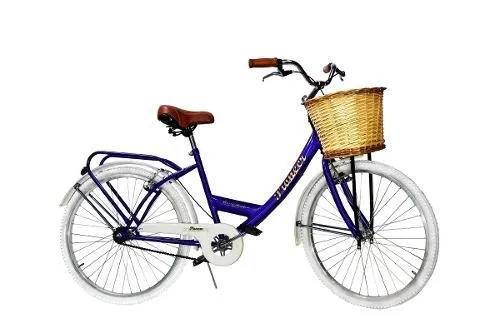 Bicicleteria pioneer online