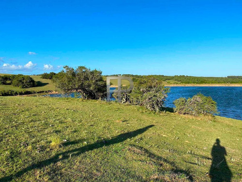 Imagen 13 de 13 de Campo En Venta Garzon 8 Has #1698
