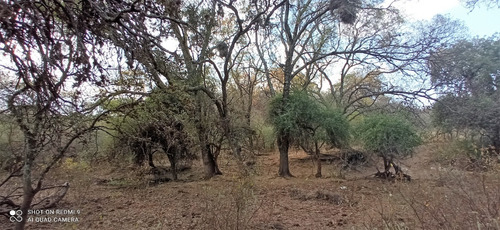 Imagen 13 de 21 de C07 119 Has De Campo Ganadero En San Carlos Mina
