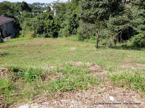 Imagem 3 de 12 de Terreno Residencial À Venda, São Paulo Ii, Cotia - Te0189. - Te0189