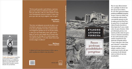 Passos Perderam Possibilidades Peregrinas, De Affonso Ferreira, Evandro. Editora Azuco Atividades Artisiticas, Capa Mole Em Português