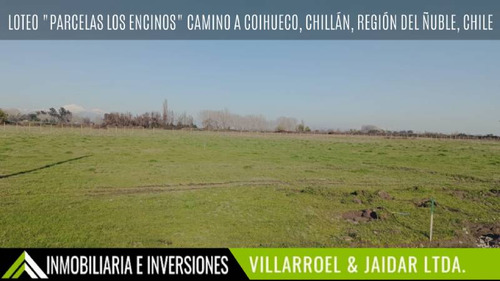 Venta De Parcela Camino A Coihueco