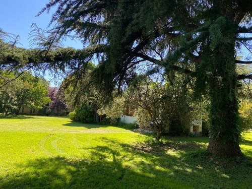Imagen 11 de 19 de Venta De Complejo De Cabañas